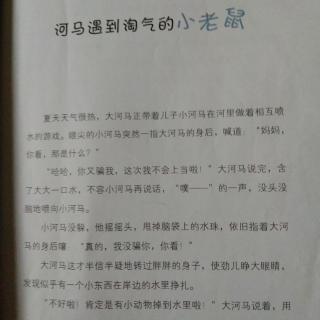 河马遇到淘气的小老鼠