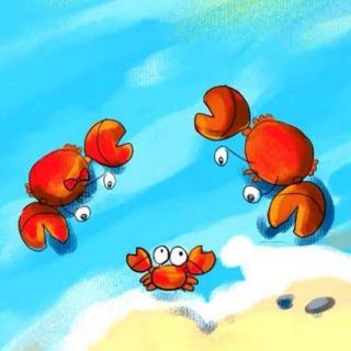 竖着爬的小螃蟹