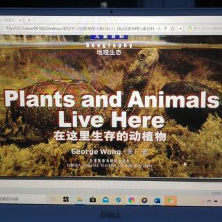 Plants and Animals Live Here