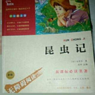 《昆虫记》燕子与麻雀