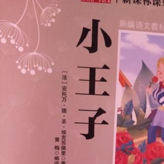 《小王子》第34天打卡