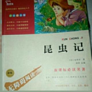 《昆虫记》金步甲的婚俗