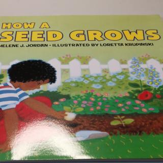 How A Seed Grows-李伊琦
