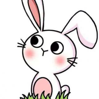 思逸情商幼儿园晚安故事—《爱挑食的小白兔》