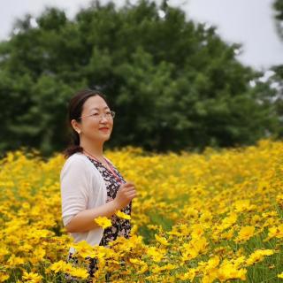 莲花与樱花