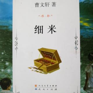 256 曹文轩作品（一）细米28