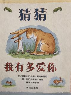 猜猜我有多爱你