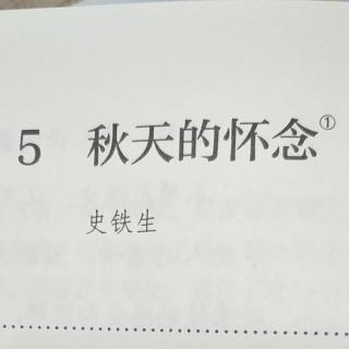 《秋天的怀念》