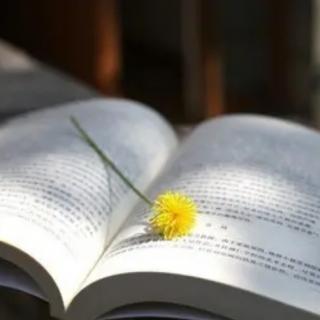 【每晚一部微型小说，我读您听】《幸福的玫瑰》作者 阿·戈登