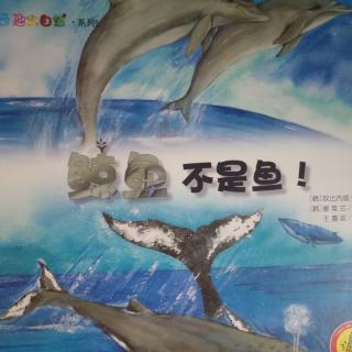 奇趣大自然·系列5――鲸鱼不是鱼!