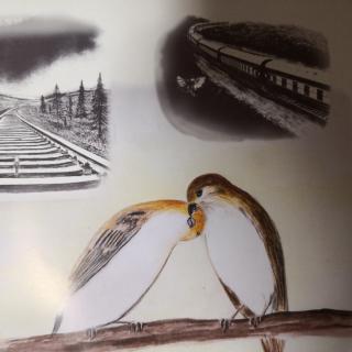 785.写给中国孩子的火车故事绘本《火车站里的小鸟》