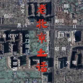 老北京土话--033拔份儿、震震他