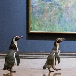 1. 疫情之下三只孤独企鹅的堪萨斯博物馆一日游