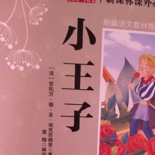 《小王子》第35天打卡