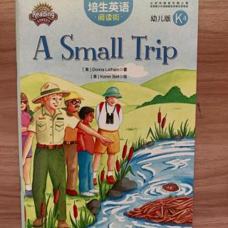 A Small Trip