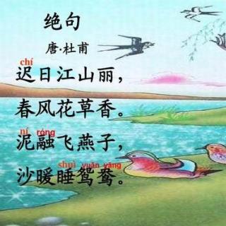 小学生必背古诗词19：杜甫《绝句》（迟日）