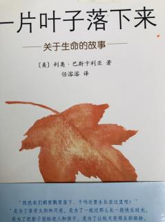 《一片叶子落下来》