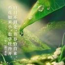 《立秋》2020年8月11日 王齐芮