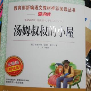 汤姆叔叔的小屋《天使之心》