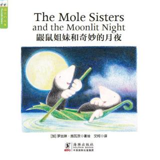 鼹鼠姐妹和奇妙的月夜