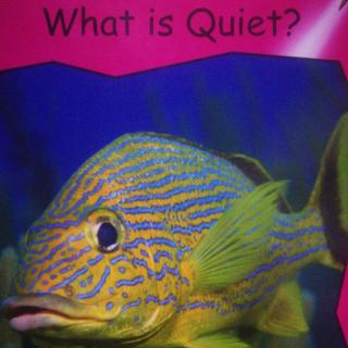 What is quiet?