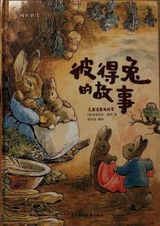 彼得兔的故事🐰-成长必读
