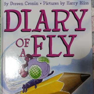 Diary of A fly