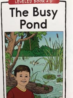 RAZ LevelD 110 - The Busy Pond