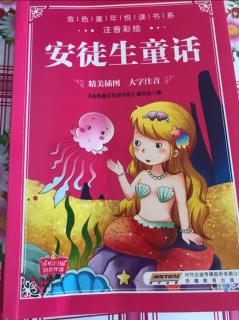 阅读《安琪儿》《海的女儿》