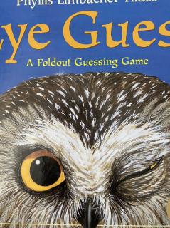 Ni 【Vol 74】Eye Guess（SL 1E）