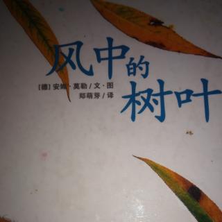 风中的树叶