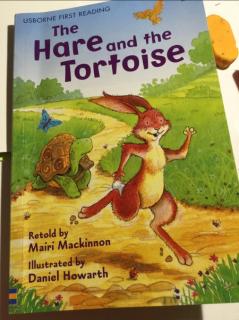 hare and tortoise1 daisy22