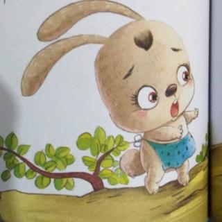 【大地幼儿园故事】园长妈妈睡前故事《小兔淘淘》