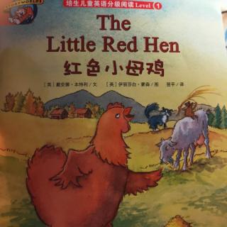 The little red hen