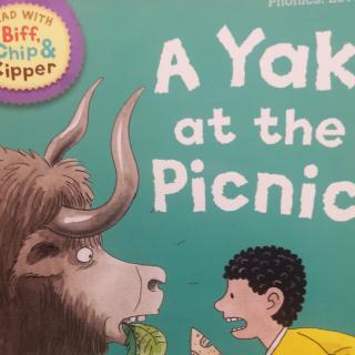 Harry英语A YAK at the picnic