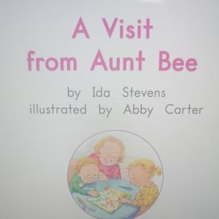 Day19 A visit from aunt bee