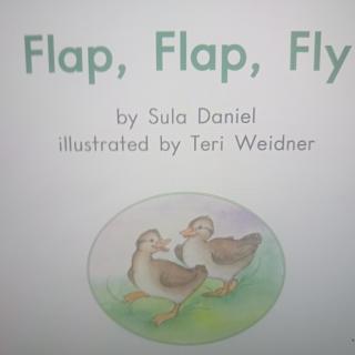 Day21 flap flap fly