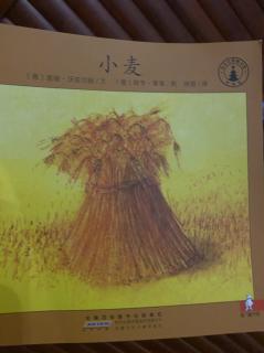 570.夏天和妈妈→小小自然图书馆《小麦》