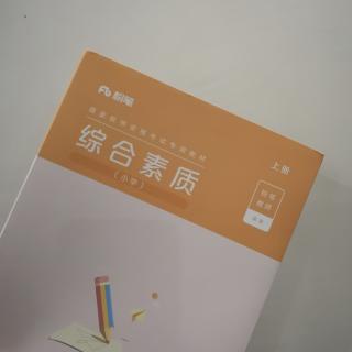 主观题高分记忆 小学教资