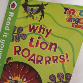 why lion roarrs