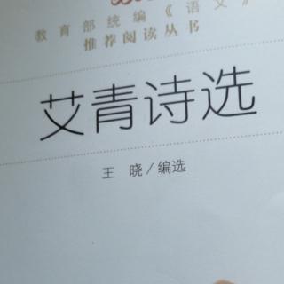 艾青诗选