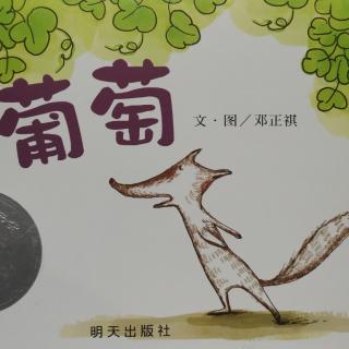 《葡萄》小路姐姐