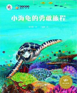 10.绘本故事《小海龟的勇敢旅程》
