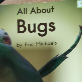 20200813小品录读all about bugs