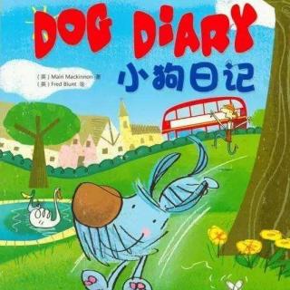 Dog Diary