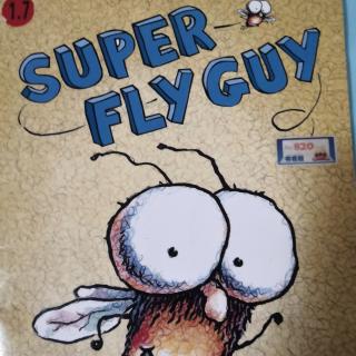 super  fly  guy