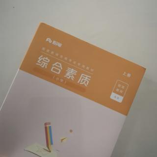 教育法律法规 小学教资