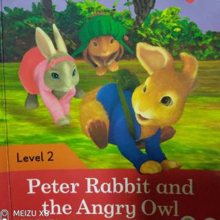 Day 192 - Peter Rabbit and the Angry Owl 1