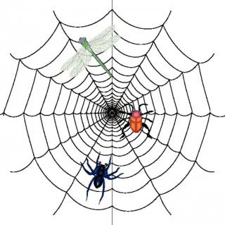 为什么蜘蛛不会被自己的网粘住？
