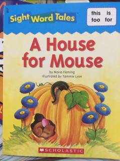 A house for Mouse